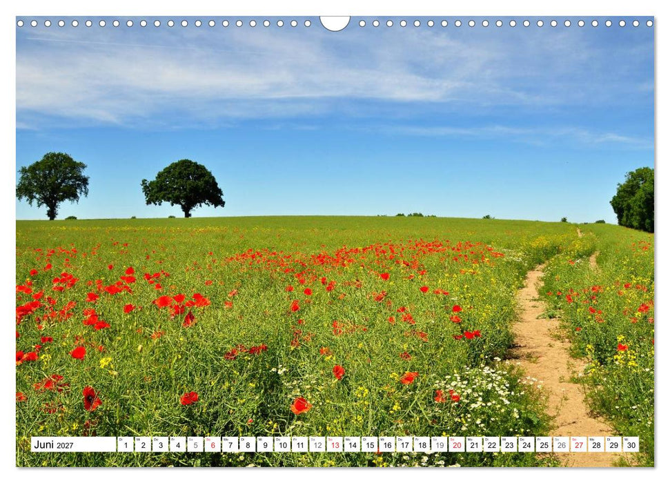 Wege gehen... (CALVENDO Wandkalender 2027)
