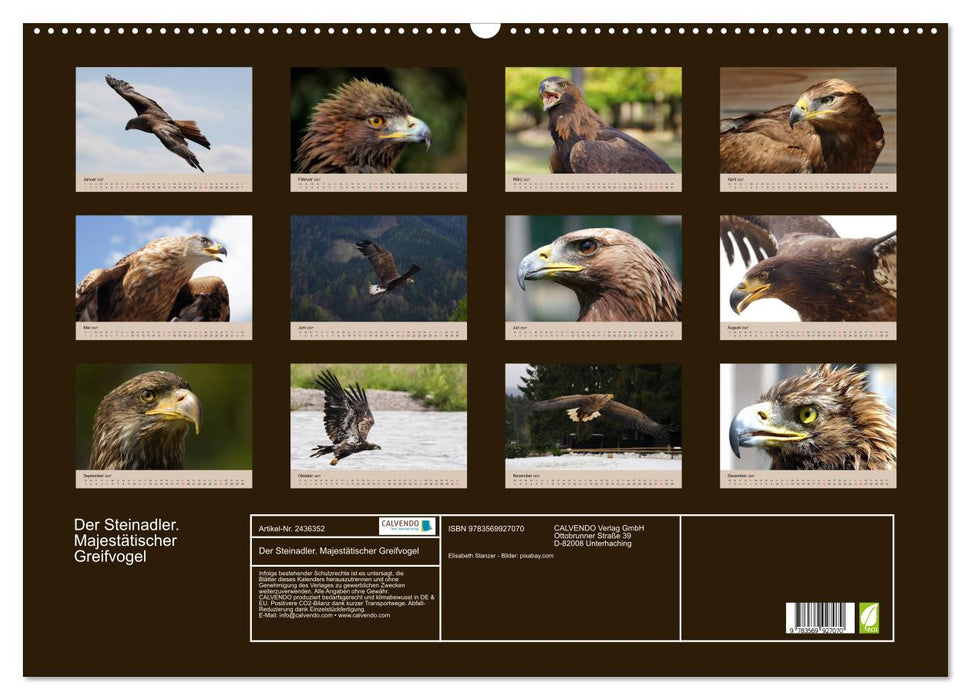 Der Steinadler. Majestätischer Greifvogel (CALVENDO Wandkalender 2027)