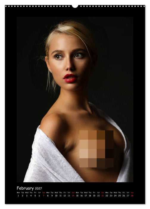 Julia's erotic portraits (CALVENDO Premium-Calendar 2027)
