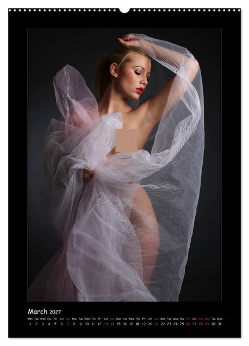 Julia's erotic portraits (CALVENDO Premium-Calendar 2027)
