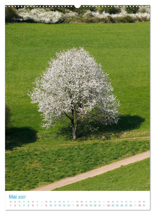 Schöne Wege laden ein (CALVENDO Wandkalender 2027)