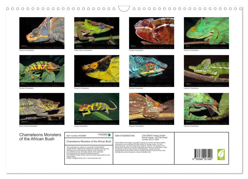 Chameleons Monsters of the African Bush (CALVENDO Monthly Calendar 2027)