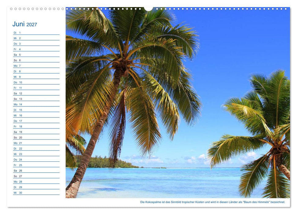 Südsee-Insel Mo'orea (CALVENDO Premium Wandkalender 2027)