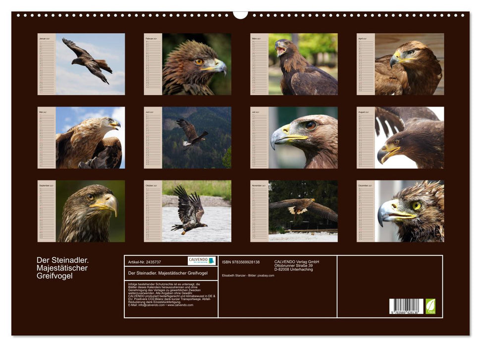 Der Steinadler. Majestätischer Greifvogel (CALVENDO Wandkalender 2027)