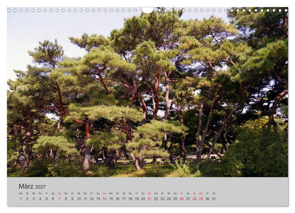 Impressionen aus Nordkorea (CALVENDO Wandkalender 2027)