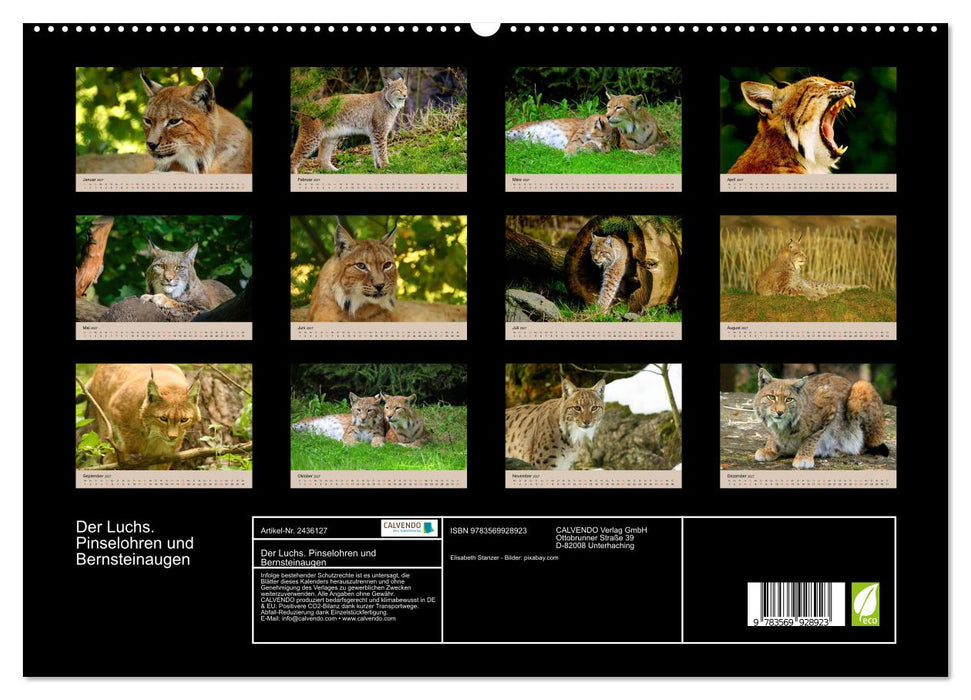 Der Luchs. Pinselohren und Bernsteinaugen (CALVENDO Premium Wandkalender 2027)
