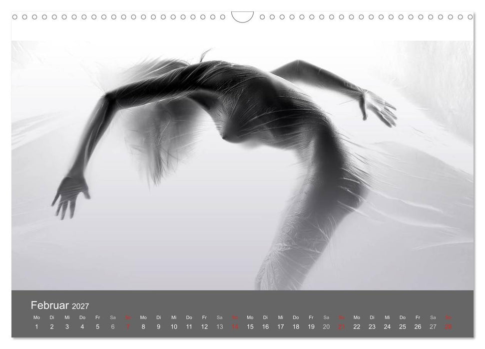 Akt und Visionen (CALVENDO Wandkalender 2027)