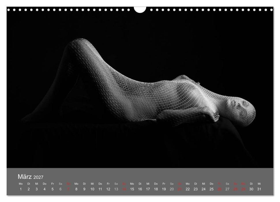 Akt und Visionen (CALVENDO Wandkalender 2027)