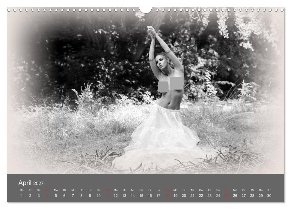 Akt und Visionen (CALVENDO Wandkalender 2027)