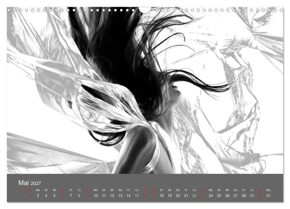Akt und Visionen (CALVENDO Wandkalender 2027)