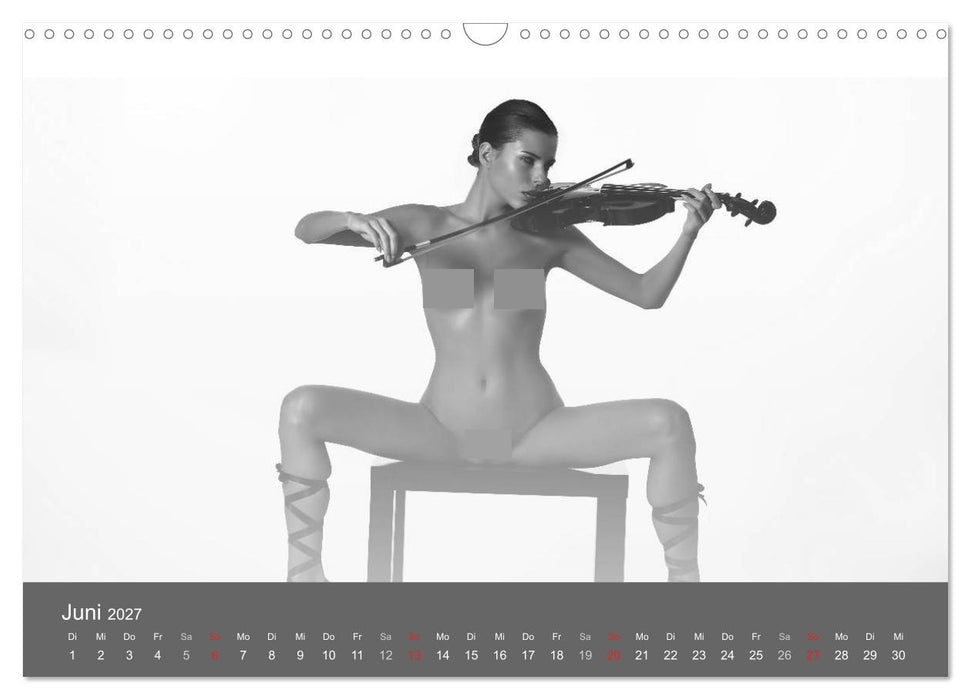 Akt und Visionen (CALVENDO Wandkalender 2027)