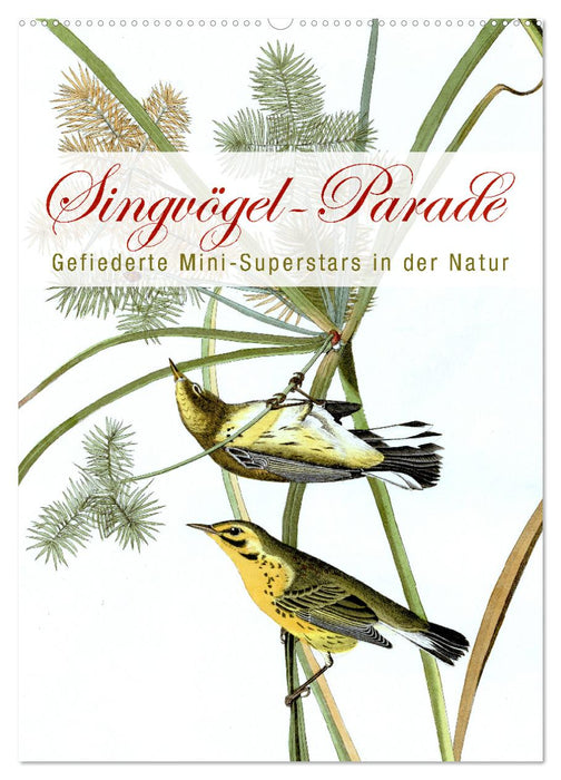 Singvögel-Parade (CALVENDO Wandkalender 2027)