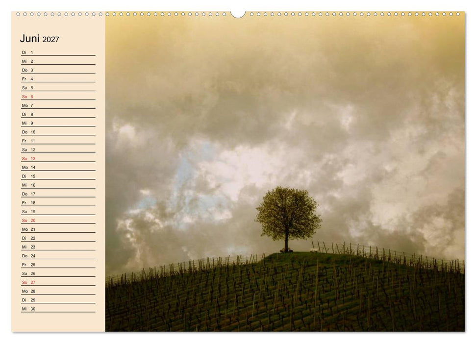 Weinanbau. Von der Traube zum Wein (CALVENDO Wandkalender 2027)