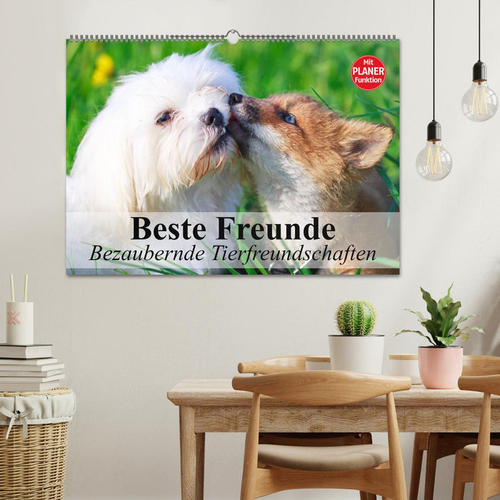 Beste Freunde. Bezaubernde Tierfreundschaften (CALVENDO Wandkalender 2027)
