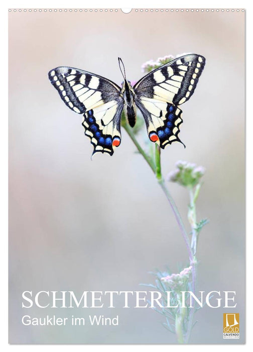 Schmetterlinge - Gaukler im Wind (CALVENDO Wandkalender 2027)