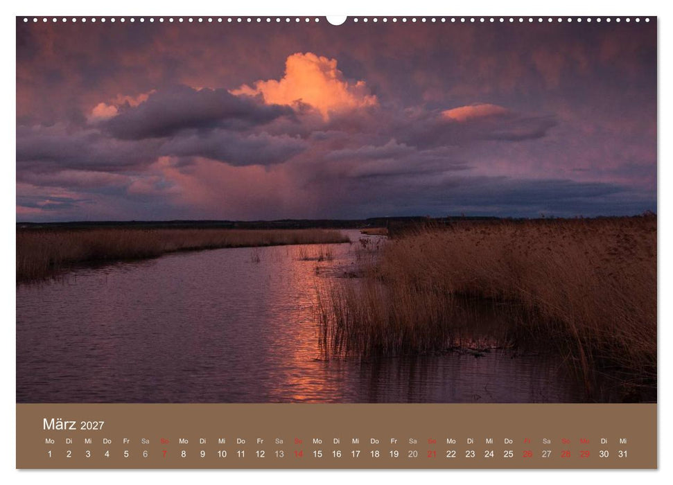 Der Federsee - Vogelparadies in Oberschwaben (CALVENDO Premium Wandkalender 2027)