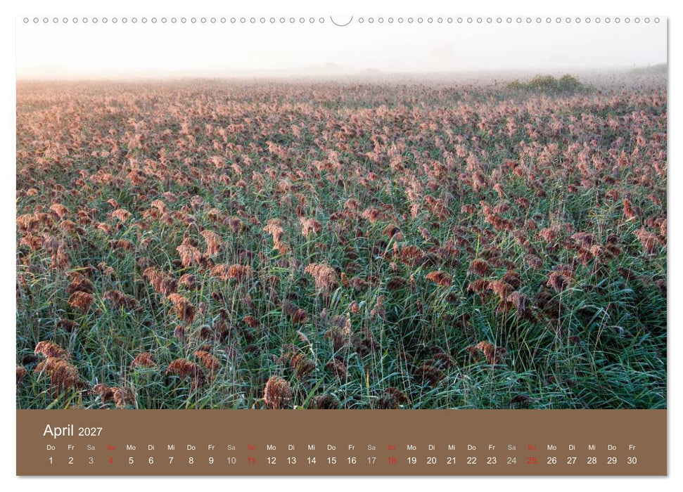 Der Federsee - Vogelparadies in Oberschwaben (CALVENDO Premium Wandkalender 2027)