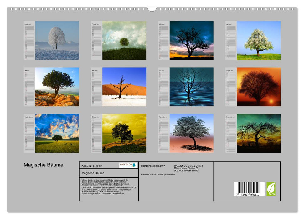 Magische Bäume (CALVENDO Premium Wandkalender 2027)