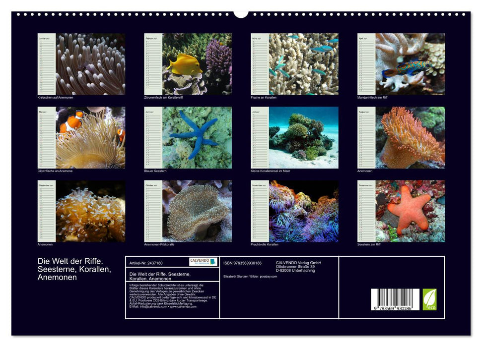 Die Welt der Riffe. Seesterne, Korallen, Anemonen (CALVENDO Premium Wandkalender 2027)