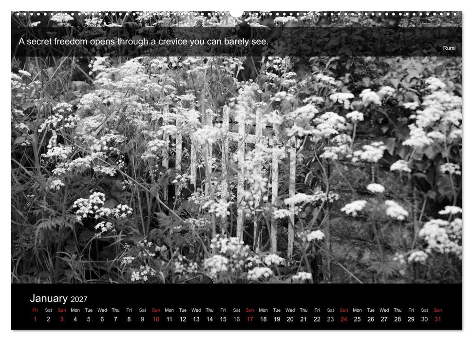Through the Gate with Rumi (CALVENDO Premium-Calendar 2027)