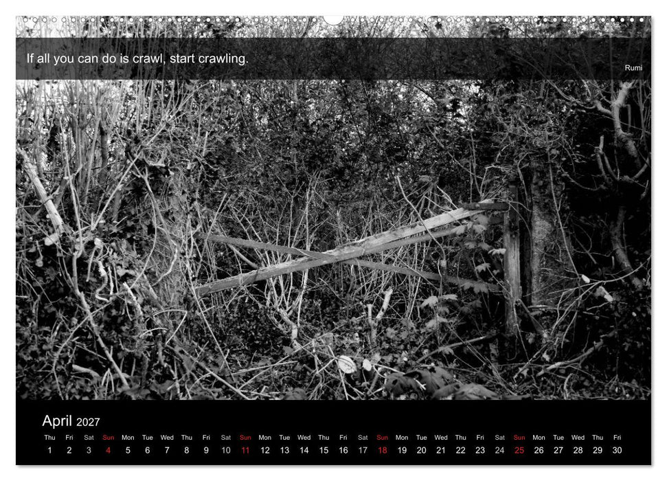 Through the Gate with Rumi (CALVENDO Premium-Calendar 2027)