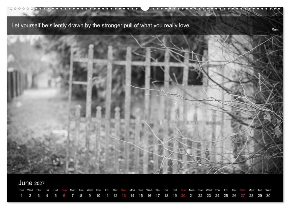 Through the Gate with Rumi (CALVENDO Premium-Calendar 2027)