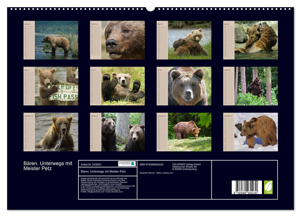 Bären. Unterwegs mit Meister Petz (CALVENDO Premium Wandkalender 2027)