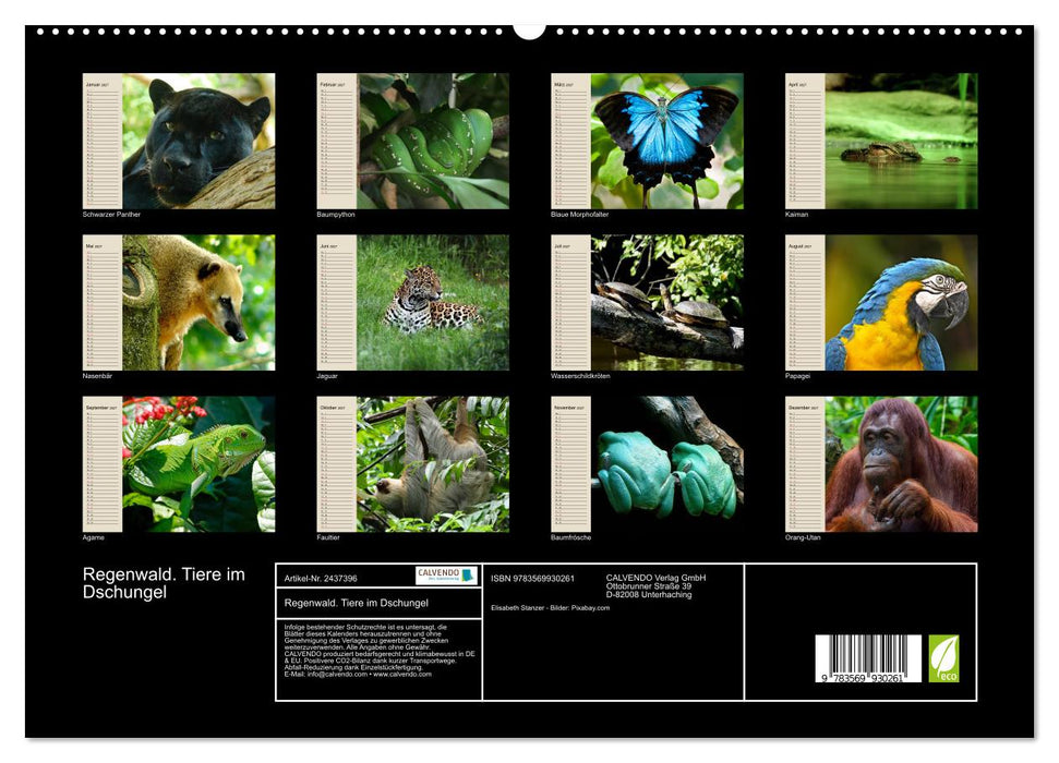 Regenwald. Tiere im Dschungel (CALVENDO Premium Wandkalender 2027)