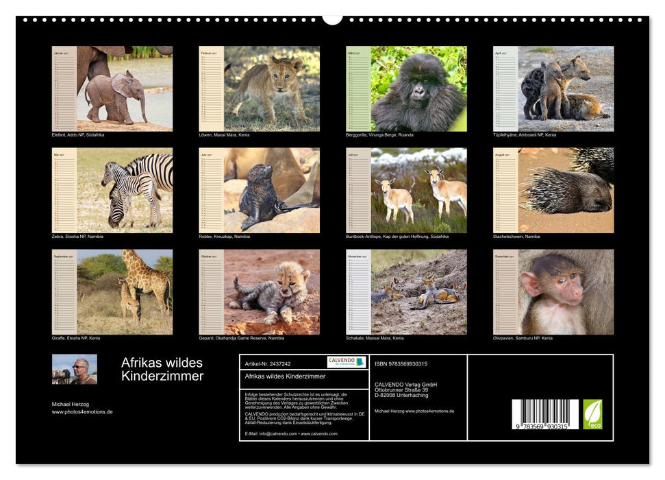 Afrikas wildes Kinderzimmer (CALVENDO Premium Wandkalender 2027)