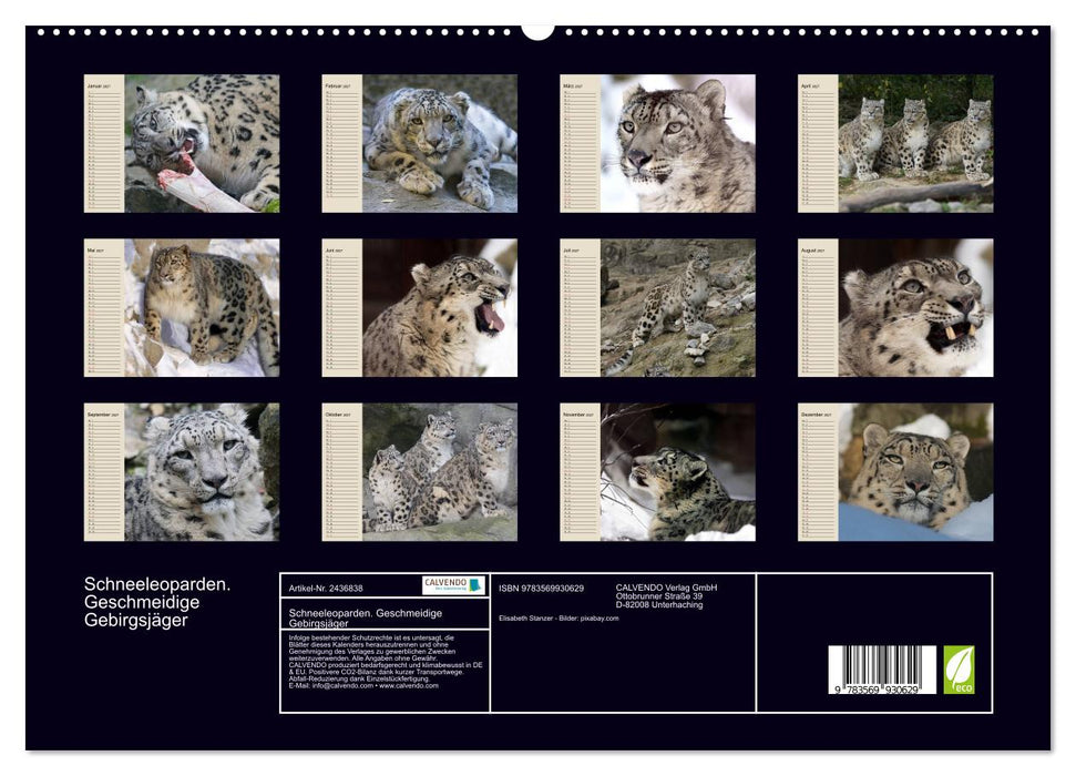 Schneeleoparden. Geschmeidige Gebirgsjäger (CALVENDO Premium Wandkalender 2027)