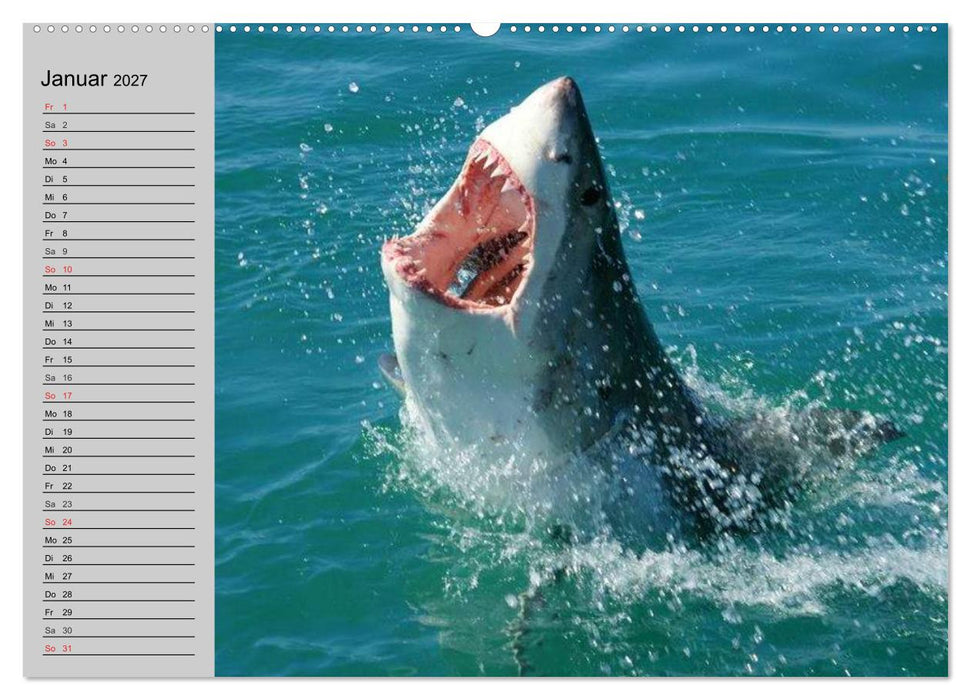 Haie (CALVENDO Wandkalender 2027)
