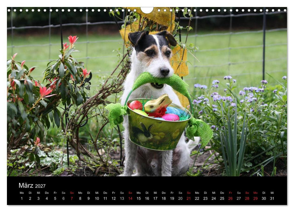 The Bravehearts und Freunde - Parson Russells (CALVENDO Wandkalender 2027)
