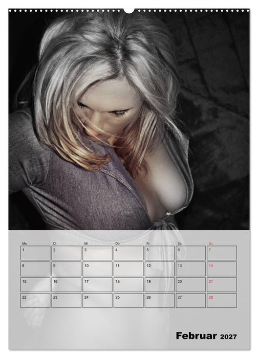 Erotik. Sinnliche Faszination (CALVENDO Premium Wandkalender 2027)