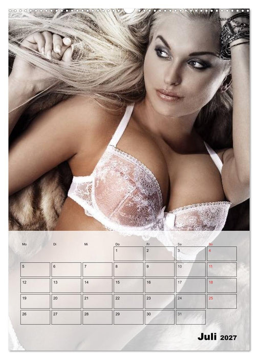 Erotik. Sinnliche Faszination (CALVENDO Premium Wandkalender 2027)