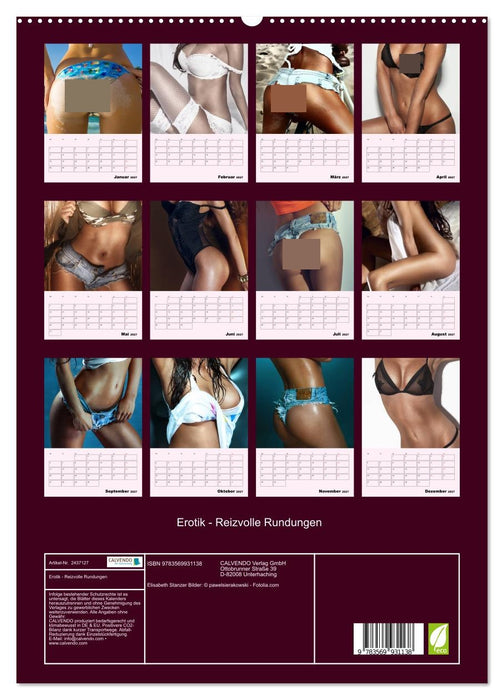 Erotik - Reizvolle Rundungen (CALVENDO Premium Wandkalender 2027)