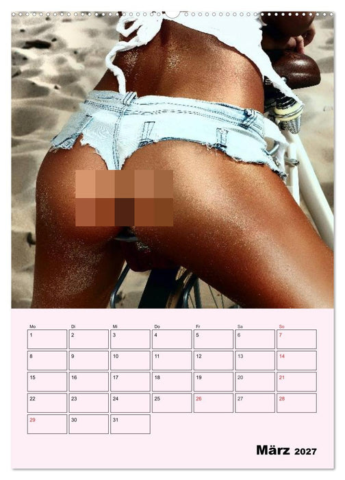 Erotik - Reizvolle Rundungen (CALVENDO Premium Wandkalender 2027)