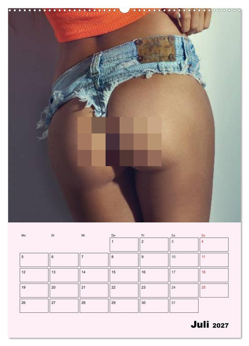 Erotik - Reizvolle Rundungen (CALVENDO Premium Wandkalender 2027)