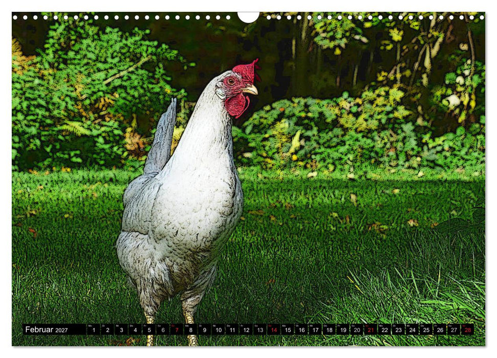 Die Hühner sind los! (CALVENDO Wandkalender 2027)