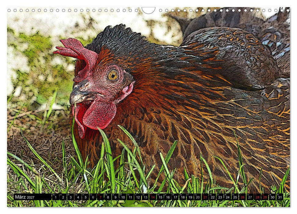Die Hühner sind los! (CALVENDO Wandkalender 2027)