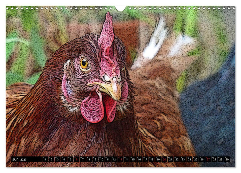 Die Hühner sind los! (CALVENDO Wandkalender 2027)
