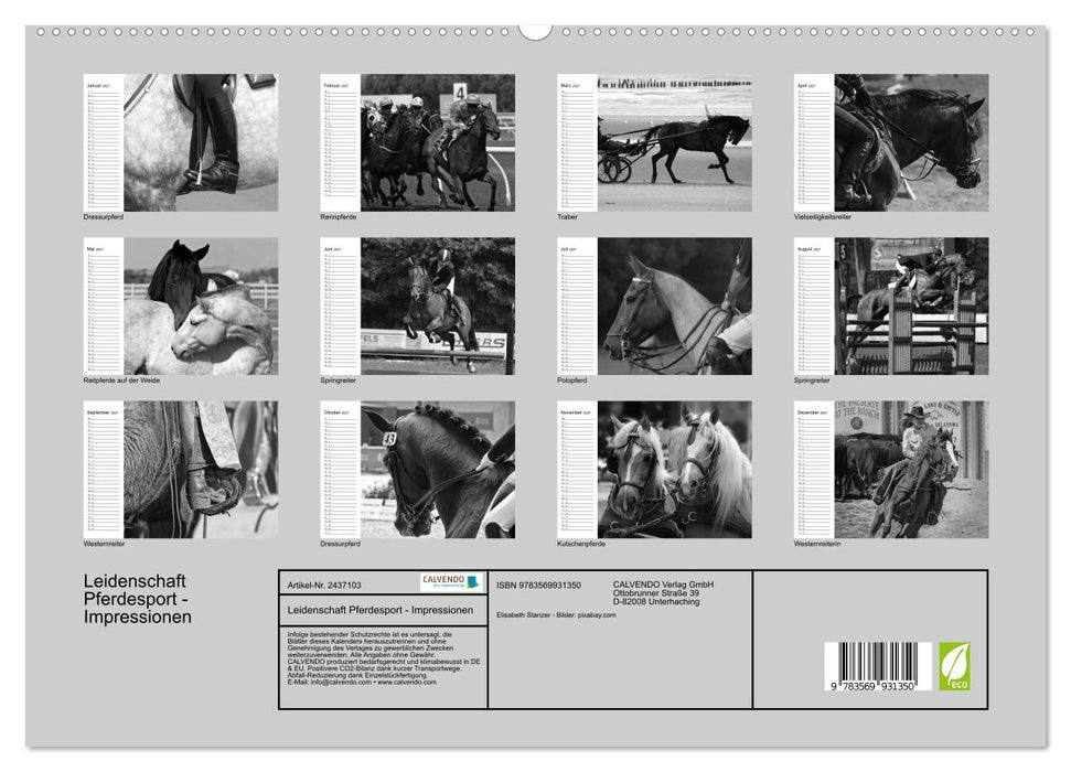 Leidenschaft Pferdesport - Impressionen (CALVENDO Premium Wandkalender 2027)