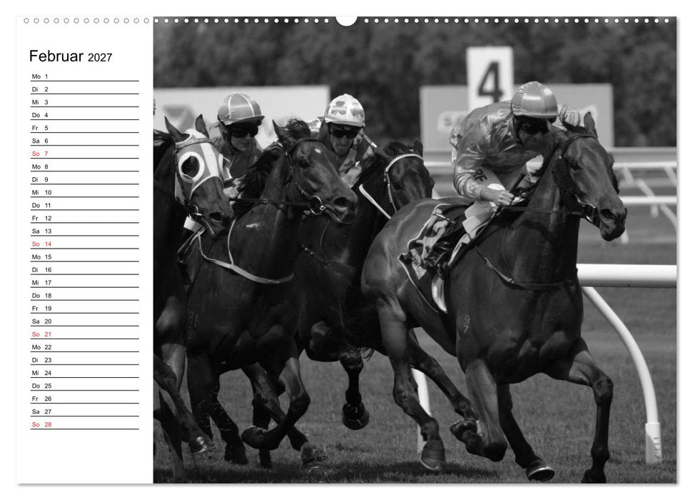 Leidenschaft Pferdesport - Impressionen (CALVENDO Premium Wandkalender 2027)