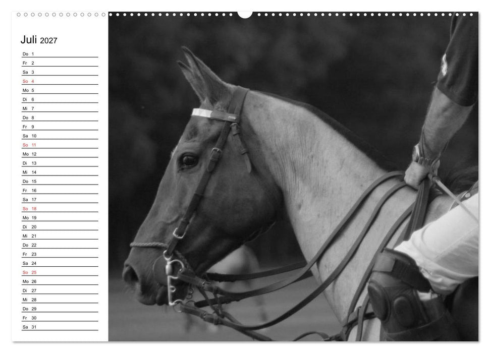 Leidenschaft Pferdesport - Impressionen (CALVENDO Premium Wandkalender 2027)