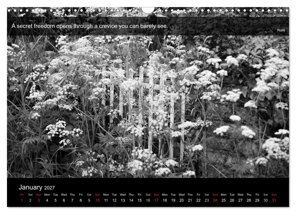 Through the Gate with Rumi (CALVENDO Monthly Calendar 2027)