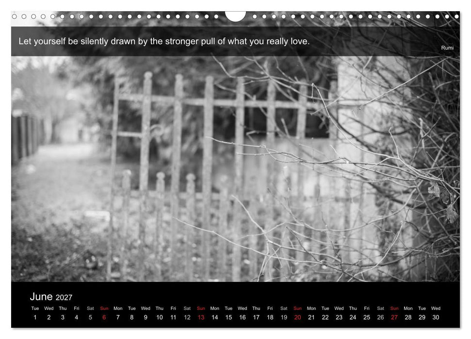 Through the Gate with Rumi (CALVENDO Monthly Calendar 2027)
