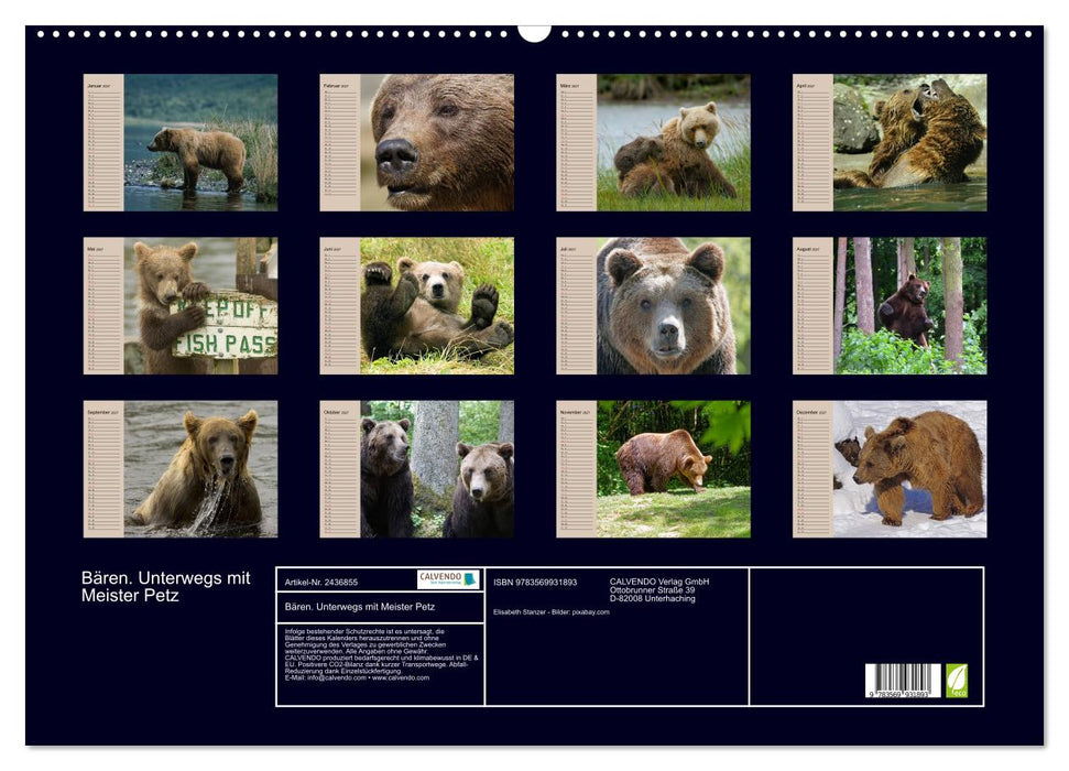 Bären. Unterwegs mit Meister Petz (CALVENDO Wandkalender 2027)