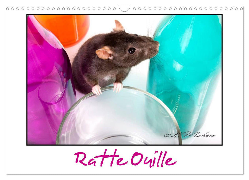 Ratte Ouille (CALVENDO Calendrier mensuel 2027)