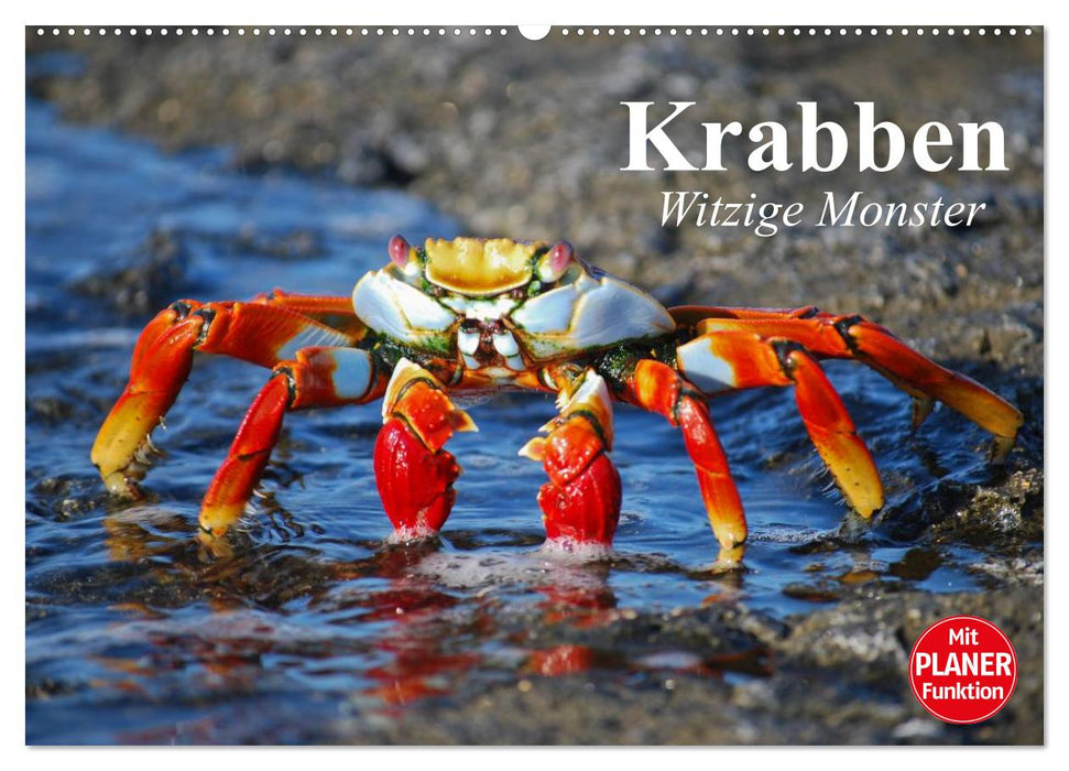 Krabben. Witzige Monster (CALVENDO Wandkalender 2027)