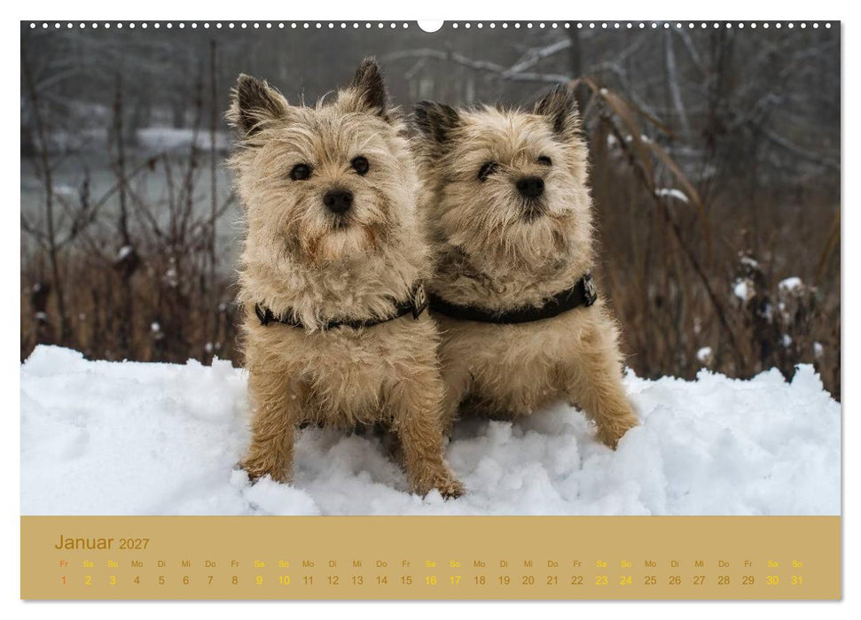 Cairns Forever (CALVENDO Wandkalender 2027)