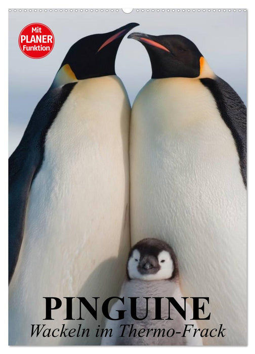 Pinguine. Wackeln im Thermo-Frack (CALVENDO Wandkalender 2027)
